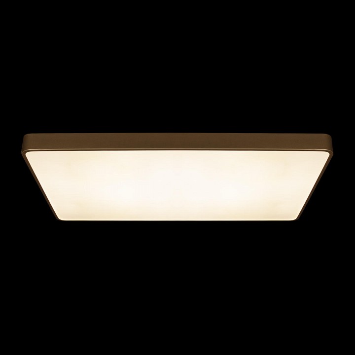 Накладной светильник Loft it Flims 10228/E